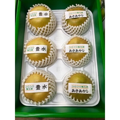 あまくて果汁たっぷりの完熟梨2品種セット　約2.5kg化粧箱入り【コロコロ梨工房】