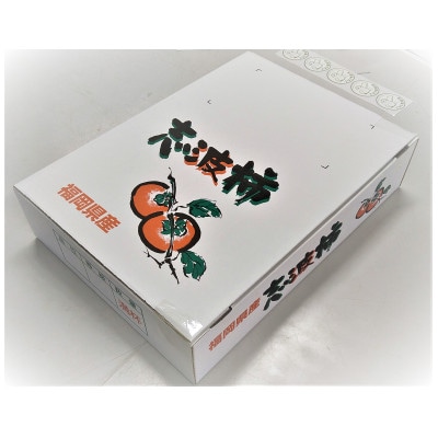 朝倉杷木志波の富有柿　3kg(2Lサイズ　10～12個入)