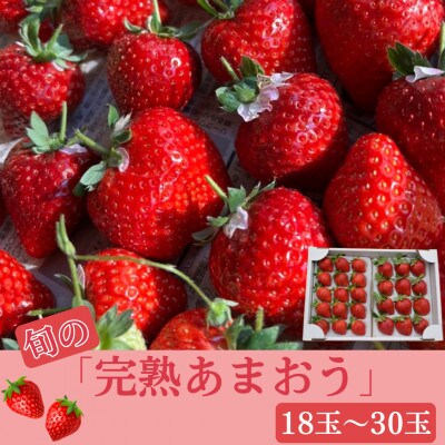 旬の【完熟あまおう】18玉～30玉