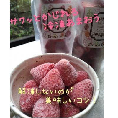 冷凍イチゴ　フローズン　あまおう　150g×5袋