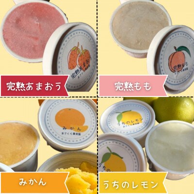 自家栽培果実のソルベおまかせ詰合せ 計6個