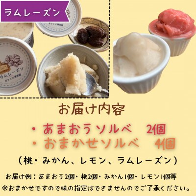 自家栽培果実のソルベおまかせ詰合せ 計6個