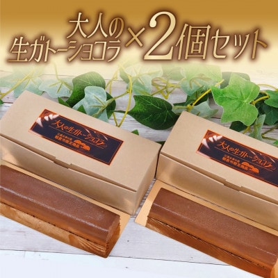 大人の生ガトーショコラ2個セット