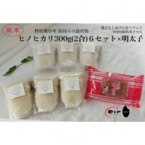 福岡のごはんセット『特別栽培米』農家直送 新米ヒノヒカリ1.8kg × やまや『うちのめんたい』