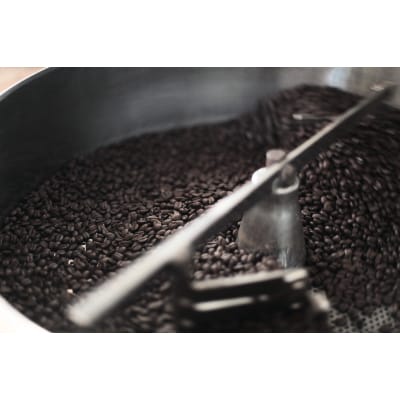 珈琲山口 レギュラー珈琲 100g×6種 (豆のまま)