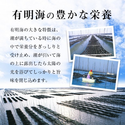 福岡有明のり　味海苔大丸ボトル　10切80枚　6本セット　合計480枚(朝倉市)