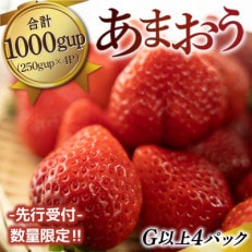 福岡県産 あまおうG以上 1000g(4パック)先行受付 2023年1月～3月末に発送予定(朝倉市)