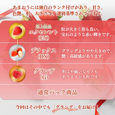 福岡県産 あまおうG以上 1000g(4パック)先行受付 2023年1月～3月末に発送予定(朝倉市)