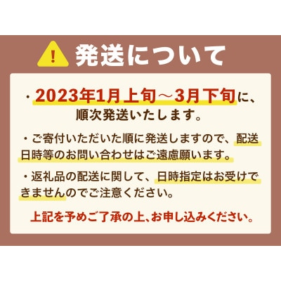 福岡県産 あまおうG以上 1000g(4パック)先行受付 2023年1月～3月末に発送予定(朝倉市)