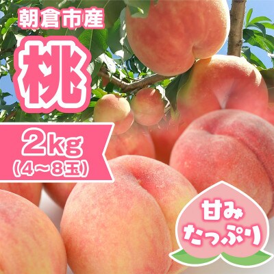 朝倉市産　桃　約2kg(4～8玉)