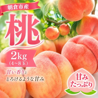 朝倉市産　桃　約2kg(4～8玉)