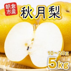 「先行受付」朝倉市産　秋月梨　約5kg | ふるさと納税のお礼品