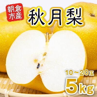 「先行受付」朝倉市産　秋月梨　約5kg