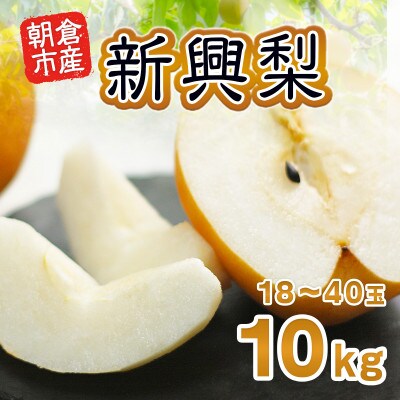「先行受付」朝倉市産　新興梨　約10kg