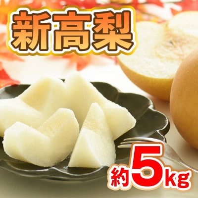 「先行受付」朝倉市産　新高梨　約5kg