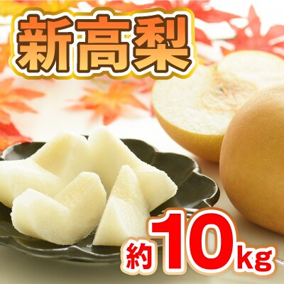「先行受付」朝倉市産　新高梨　約10kg