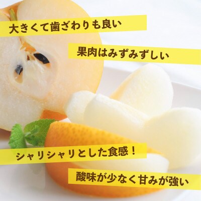 「先行受付」朝倉市産　新高梨　約10kg