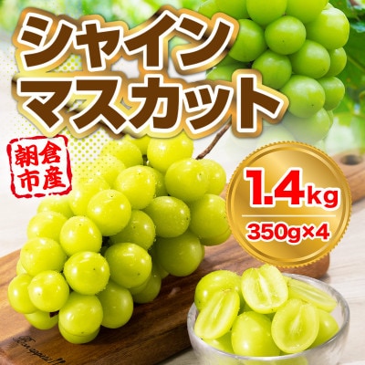 朝倉市産　シャインマスカット　約1.4kg(350g×4パック)