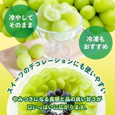 朝倉市産　シャインマスカット　約1.4kg(350g×4パック)