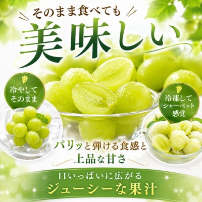 朝倉市産　シャインマスカット　約1.4kg(350g×4パック)