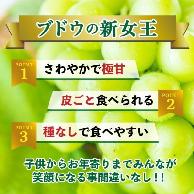 朝倉市産　シャインマスカット　約1.4kg(350g×4パック)