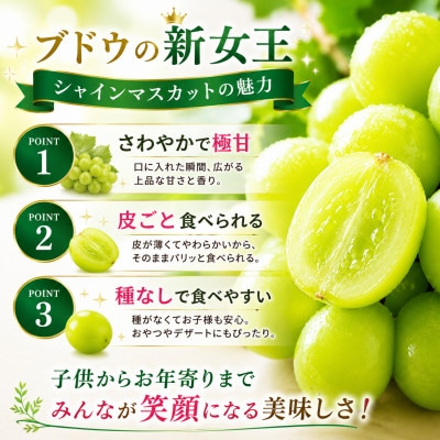 朝倉市産　シャインマスカット　約1.4kg(350g×4パック)