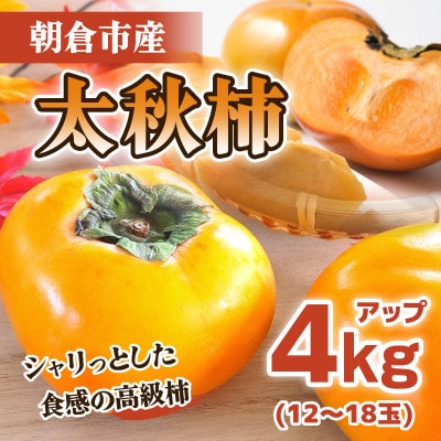 「先行受付」朝倉市産　太秋柿　4kg以上(12～18玉)