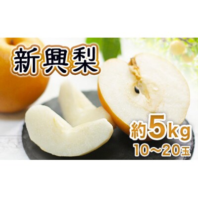 朝倉市産　新興梨　約5kg