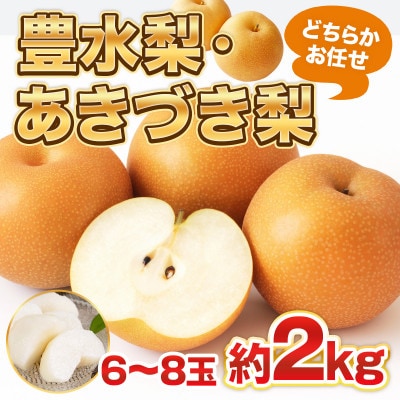 朝倉産　旬の梨(豊水、あきづき)約2kg(朝倉市)