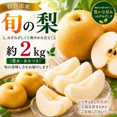 朝倉産　旬の梨(豊水、あきづき)約2kg(朝倉市)