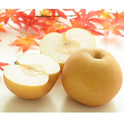 朝倉産 旬の梨(あきづき、新高)約2kg(朝倉市)