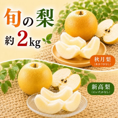 朝倉産 旬の梨(あきづき、新高)約2kg(朝倉市)