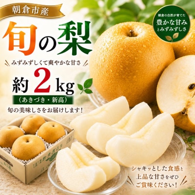 朝倉産 旬の梨(あきづき、新高)約2kg(朝倉市)
