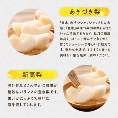 朝倉産 旬の梨(あきづき、新高)約2kg(朝倉市)