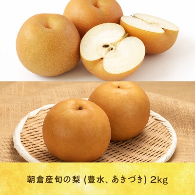 朝倉産 旬の梨(あきづき、新高)約2kg(朝倉市)