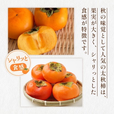 朝倉産　太秋柿　約2kg(朝倉市)