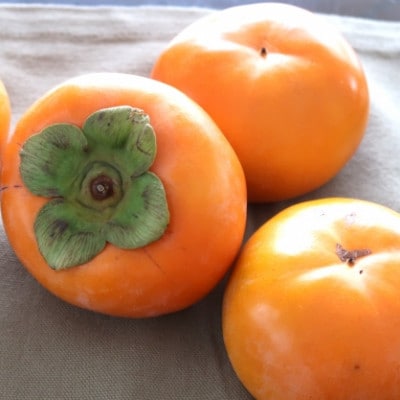 朝倉産　富有柿　約3kg(朝倉市)