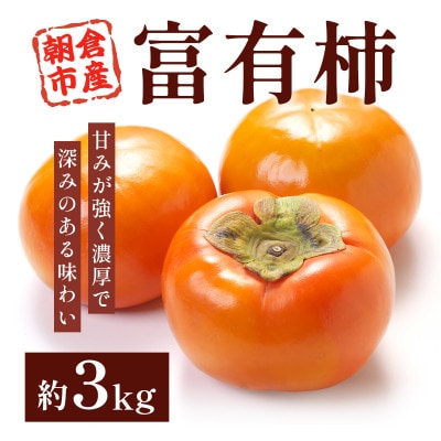 朝倉産　富有柿　約3kg(朝倉市)