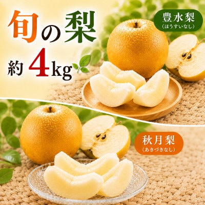 朝倉産 旬の梨(豊水、あきづき)約4kg(朝倉市)