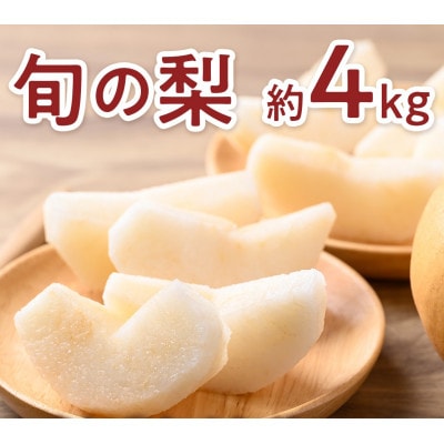 朝倉産 旬の梨(あきづき、新高)約4kg(朝倉市)
