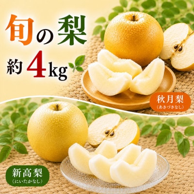 朝倉産 旬の梨(あきづき、新高)約4kg(朝倉市)