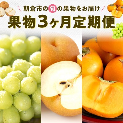 【発送月固定定期便】旬の果物3か月定期便(朝倉市)全3回
