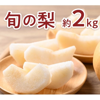 【発送月固定定期便】旬の果物3か月定期便(朝倉市)全3回