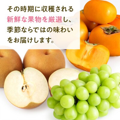 【発送月固定定期便】旬の果物3か月定期便(朝倉市)全3回