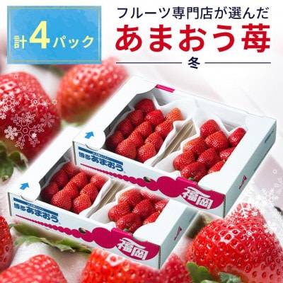 【11月下旬より順次発送】福岡のいちご!苺本来の酸味と甘み!冬あまおう4パック(朝倉市)