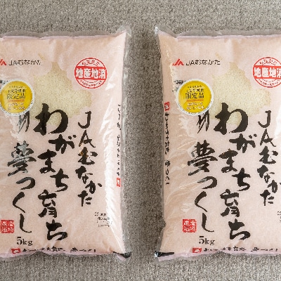 果物屋さんの夢つくし(米)5kg×2袋(朝倉市)