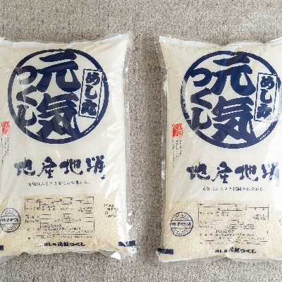 果物屋さんの元気つくし(米)5kg×2袋(朝倉市)