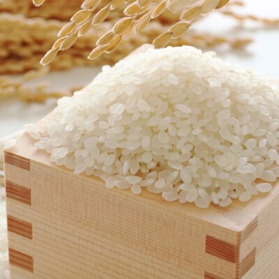 果物屋さんの元気つくし(米)5kg×2袋(朝倉市)