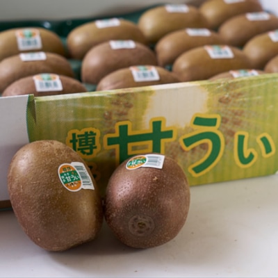 福岡限定!ブランドキウイ「甘うぃ(あまうぃ)」約1.5kg箱(12-15玉)(朝倉市)
