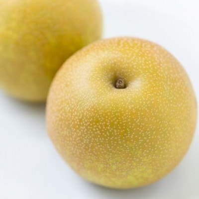 季節の朝倉の梨はじめました。約2.5kg(2-9玉)